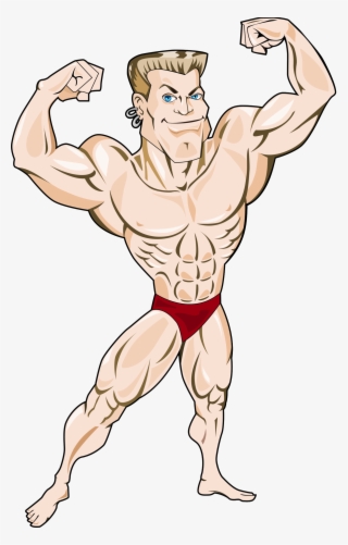 Muscle Tissue Bodybuilding Illustration Health And - Mr Muscle