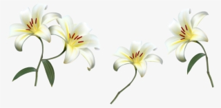 png Клипарт "beautiful flowers" - คํา คม วัน เกษียณ