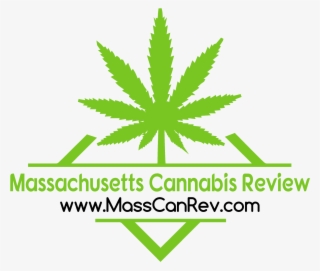 The Reel Ace Blog - Marijuana Leaf