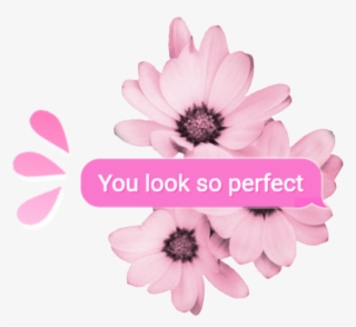 Random Pink Tumblr Overlay Aesthetic Kpop Cute Youlooks - Aesthetic Overlay