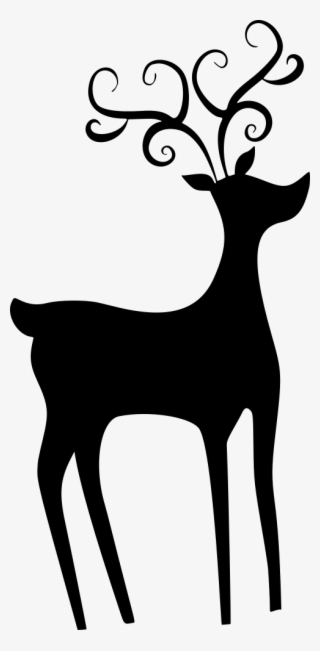 Reindeer - Roe Deer