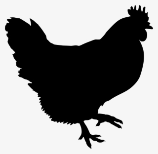 Big Image - Black Chicken Clip Art