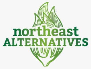 Site Logo - Northeast Alternatives Fall River Ma