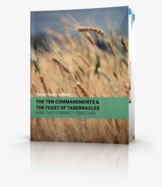 The Ten Commandments - Wheat