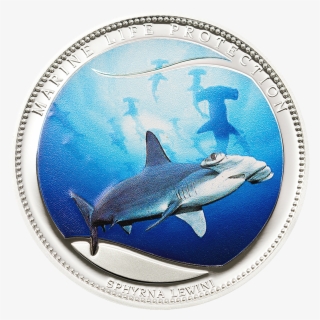Scalloped Hammerhead , Cit Coin Invest Trust Ag / B - Great White Shark