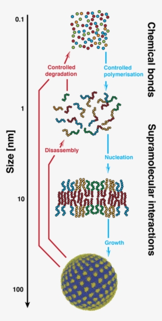 Molecular Engineering Of Nanoscopic Structures Starting - Diagram