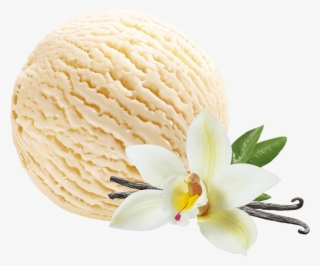 Vanilla Ice Cream - 5000ml Ice Cream Container