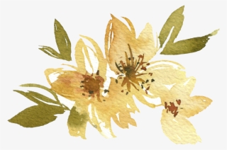 Vanilla
