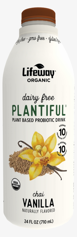 Chai Vanilla Organic Plant Based Probiotic Drink
