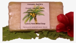 Coconut Lime Vanilla Soap - Hippeastrum