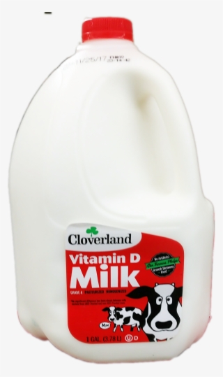 Cloverland Whole Milk Gallon - Plastic Bottle
