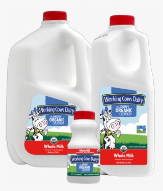 1/2 Gallon Organic Whole Milk - Skimmed Milk