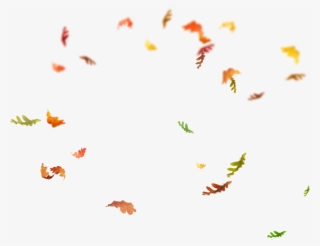 1600 X 1232 25 0 - Falling Leaves Overlay Png