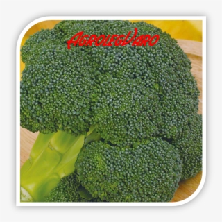 Seminte De Broccoli Ironman F1 - Broccoli
