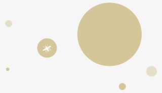 Circle
