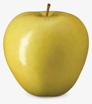 Golden Delicious - Apple Golden Delicious Ont