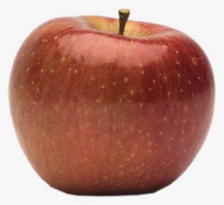 Apple Holler Evercrisp Apple - Mcintosh