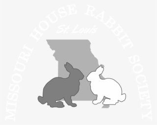 The House Rabbit Society - Domestic Rabbit