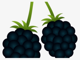 Blackberry Clipart Berry Plant - Blackberry Clipart Png