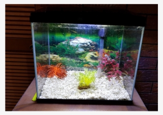 Aqua One Fish Tank - Aquarium