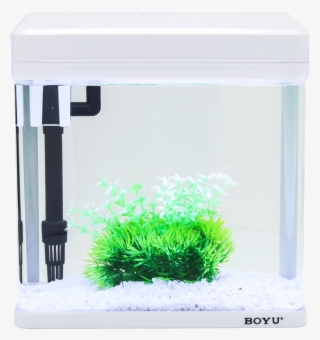 Lightbox Moreview - Aquarium