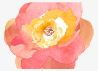 Free Png Download Watercolor Orange Flowers Png Images - Clip Art