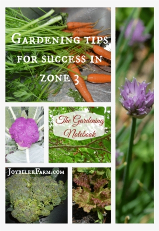 Gardening Tips For Success In Zone - Camas