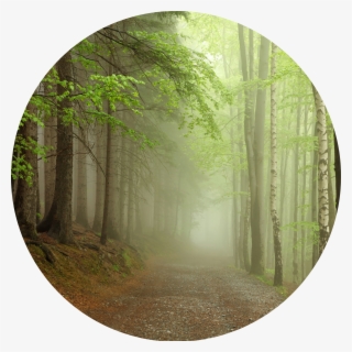A Pathfinder Retreat Coming Fall