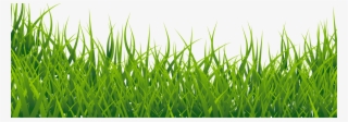 Countdown Until - Grass Image Hd Png