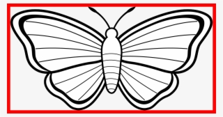 Transparent Library Astonishing Image For Popular Clip - Colouring Page Of A Butterfly