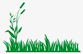 Blade Jungle Plant Green Pencil And In Ⓒ - Grass Border Clipart