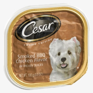 Companion Dog