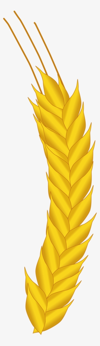 This Free Icons Png Design Of Ear Of Corn