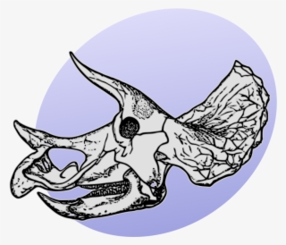 P Dinosaurs Pl - Triceratops Skeleton