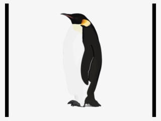 King Penguin Clipart Real - Transparent Background Emperor Penguin Png