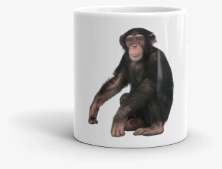 Chimpanzee Mug - Monkey With White Background