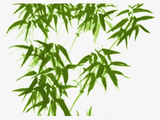 Drawn Bamboo Green Bamboo - Chinese Bamboo Ink Painting