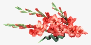 Картинка В Png - Gladiolus