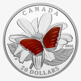 Pure Silver Coin Colourful Wings Of A Butterfly Mintage - Lycaena