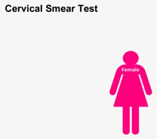Cervical Smear Test