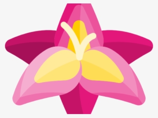 Gladiolus Clipart Pink Yellow