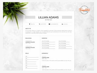 Resume Template For Word And Pages "lillian Adams" - Template