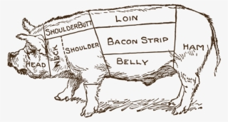 1000 X 567 9 - Butcher's Diagram Pig