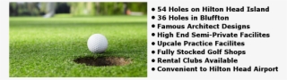 Brown Golf Hilton Head Packages - 一 桿 進 洞