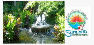 Com Pond Supplies • Pond Plants • Pond Fish • Aquatic - Fountain