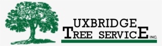 shrubbery york & durham region - oak tree