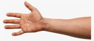 Download - Sign Language