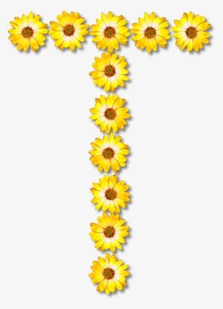 Common Sunflower Letter Daisy Family Petal - Daisy Flower Alphabet