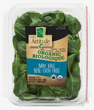 Organic Baby Kale - Organic Fresh Attitude Salad