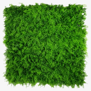 Mixed Fern Artificial Green Wall Hedge Panel